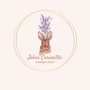 Jolies Curiosités Concept Store 